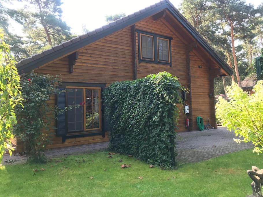 Houten Chalet/Bungalow In Het Bos, Sauna, Jacuzzi Meijel Dış mekan fotoğraf